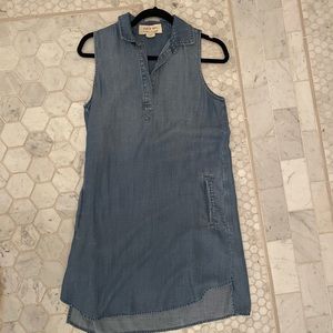 Cloth and stone denim dress
